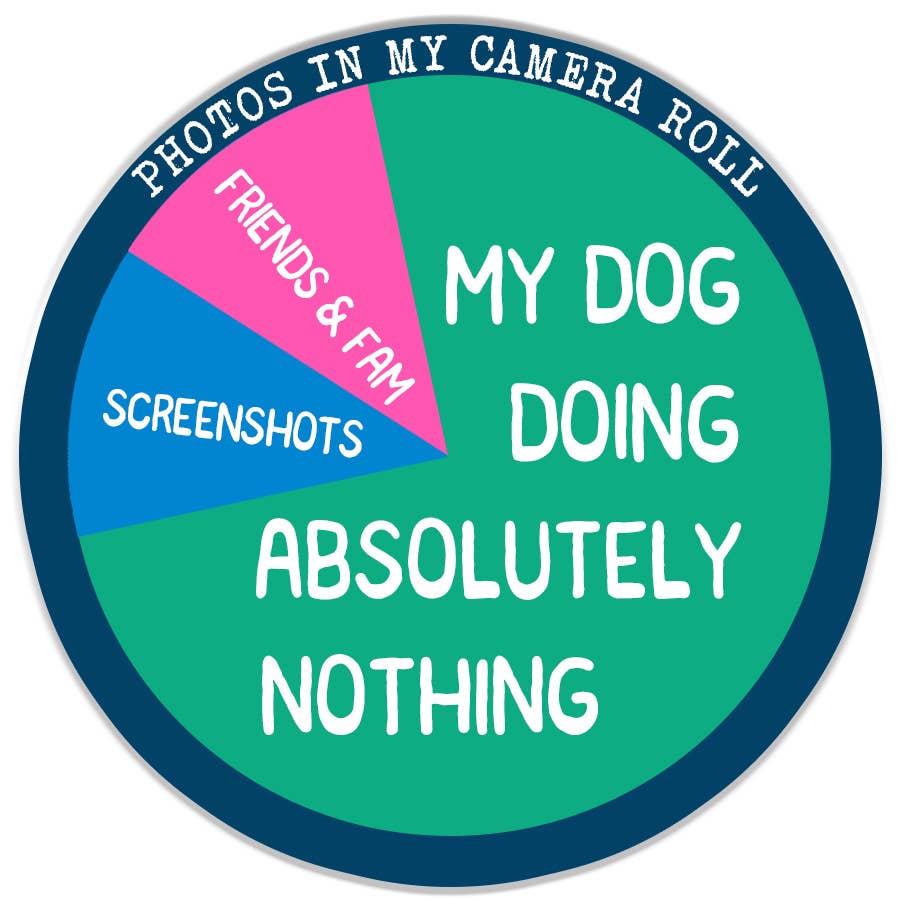 Dog Photos Sticker Decal, Funny Dog Sticker, Dog Lover