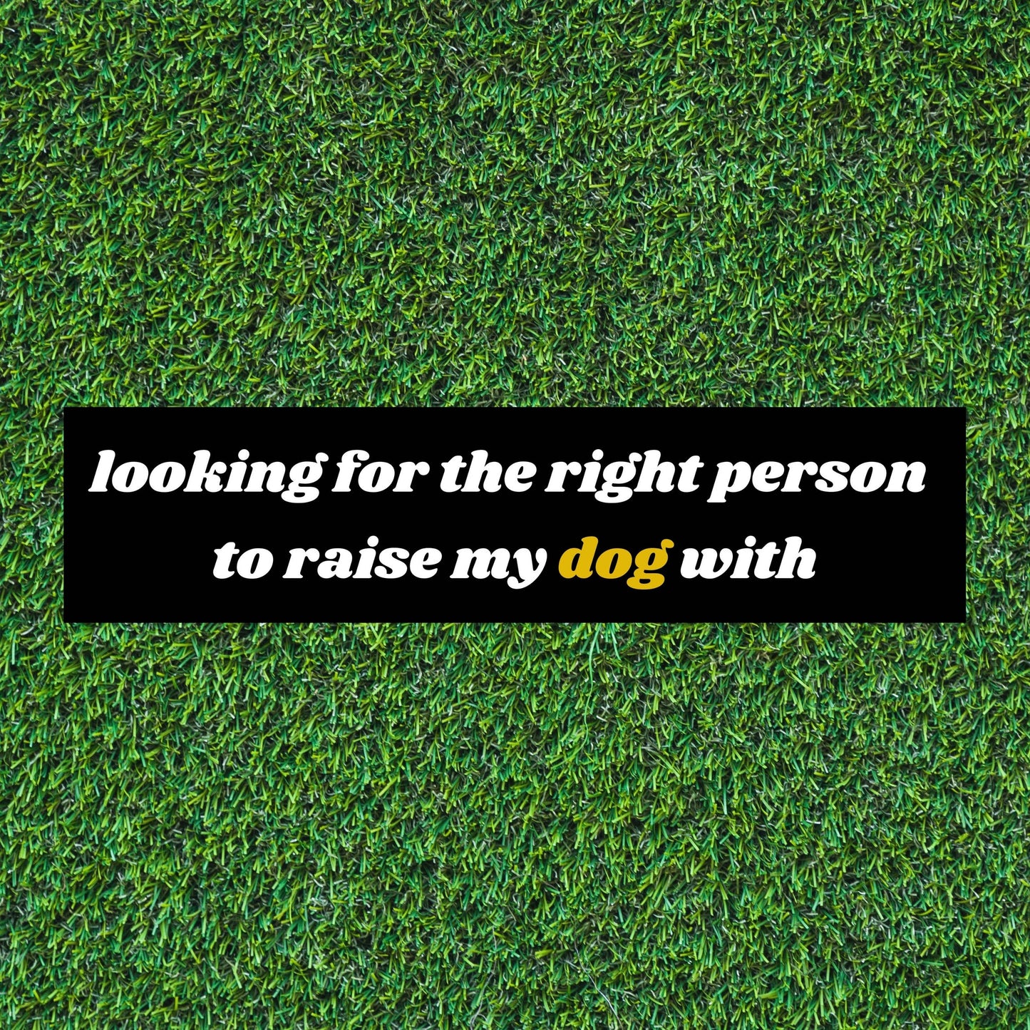 Looking For The Right Person Bumper Sticker