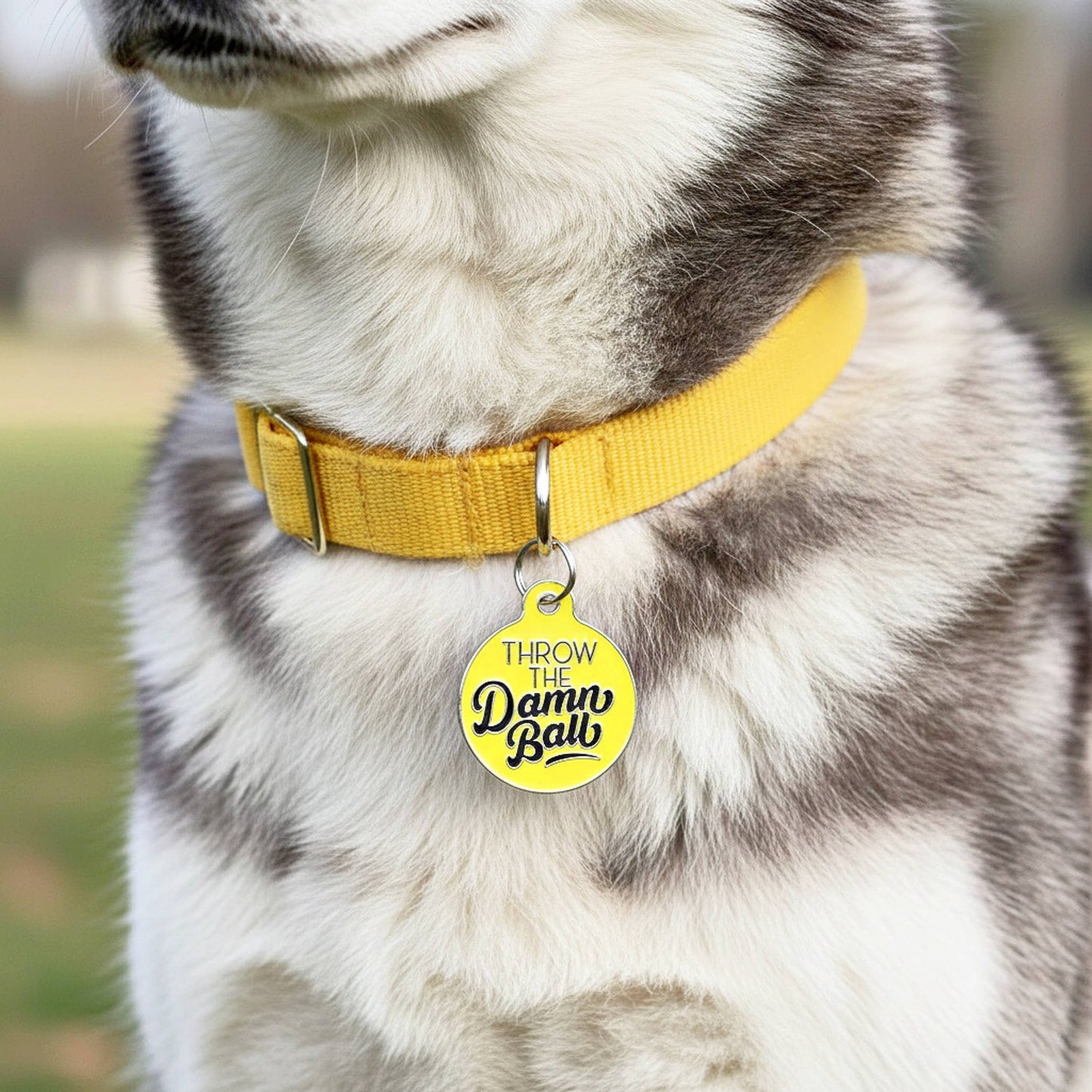 Funny Pet Accessory & Dog Tag Charm - Throw the Damn Ball 
