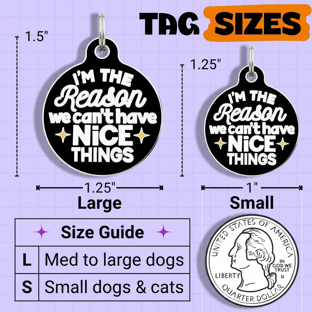 Funny Dog Charm & Pet ID Tag - Can't Have Nice Things