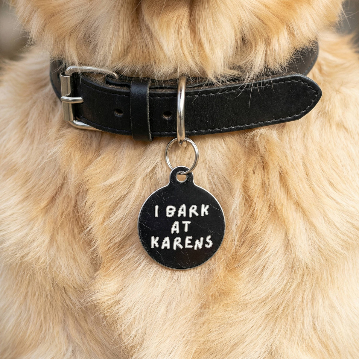Funny Dog Charm & Pet ID Tag - I Bark at Karens