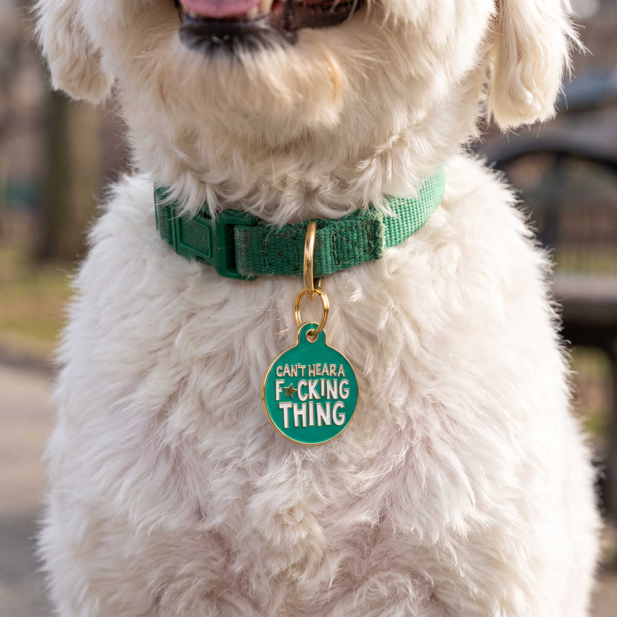 Dog Tag Charm & Pet ID Tag - Can't Hear a F*cking Thing