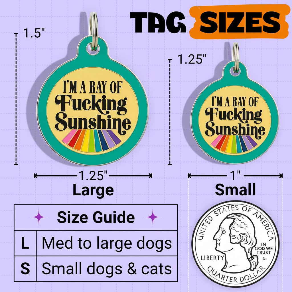 Funny Dog ID Tag & Pet Accessory - Ray of Sunshine *Teal