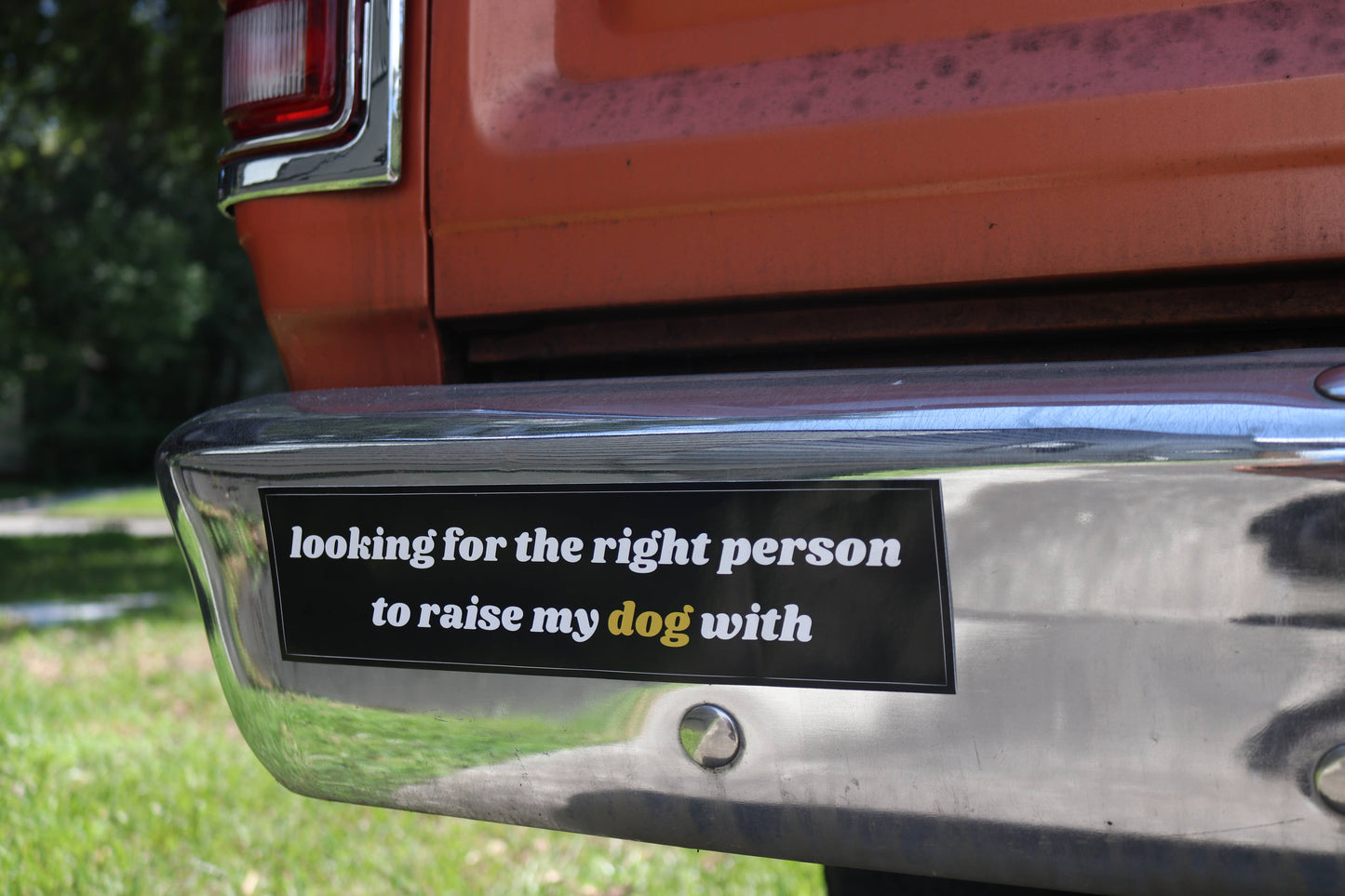 Looking For The Right Person Bumper Sticker