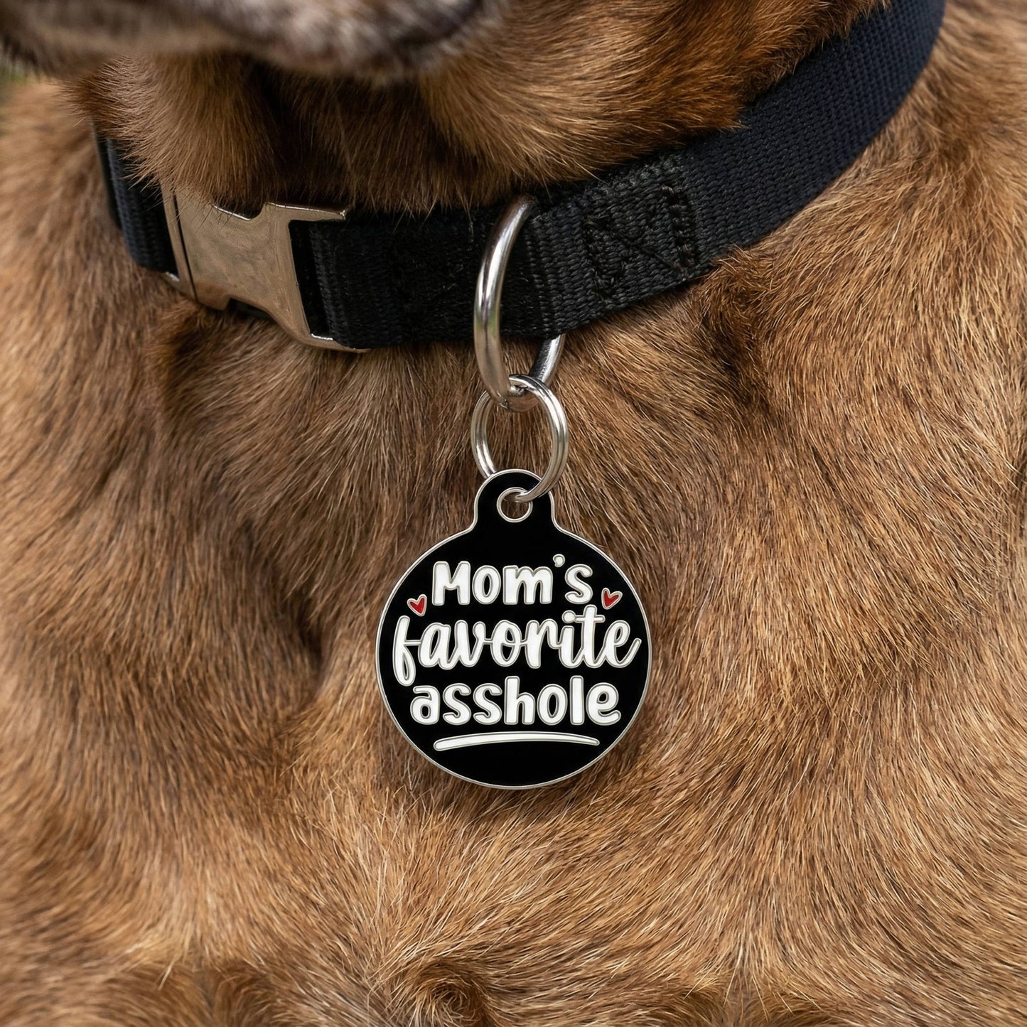 Funny Dog Charm & Pet ID Tag - Mom's Favorite Asshole
