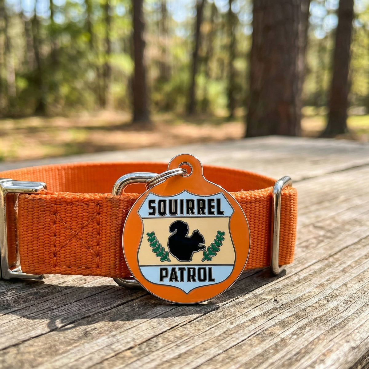 Cute Pet Tag & Dog Collar Charm - Squirrel Patrol *Orange