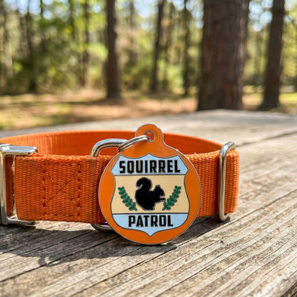 Cute Pet Tag & Dog Collar Charm - Squirrel Patrol *Orange