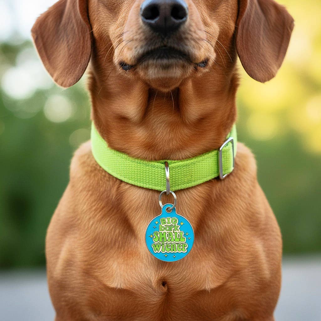 Funny Dog Charm & Pet ID Tag - Big Bark Small Wiener