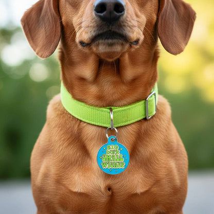Funny Dog Charm & Pet ID Tag - Big Bark Small Wiener