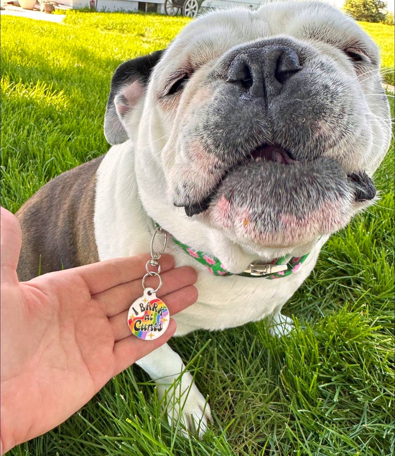Funny Dog Charm & Pet ID Tag - I Bark at Cunts *Rainbow