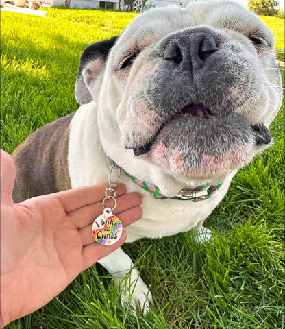Funny Dog Charm & Pet ID Tag - I Bark at Cunts *Rainbow