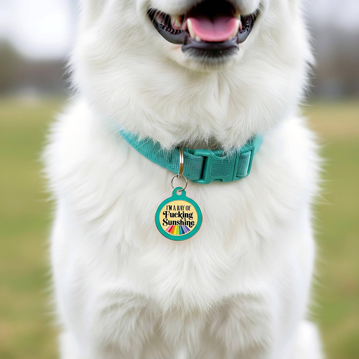 Funny Dog ID Tag & Pet Accessory - Ray of Sunshine *Teal