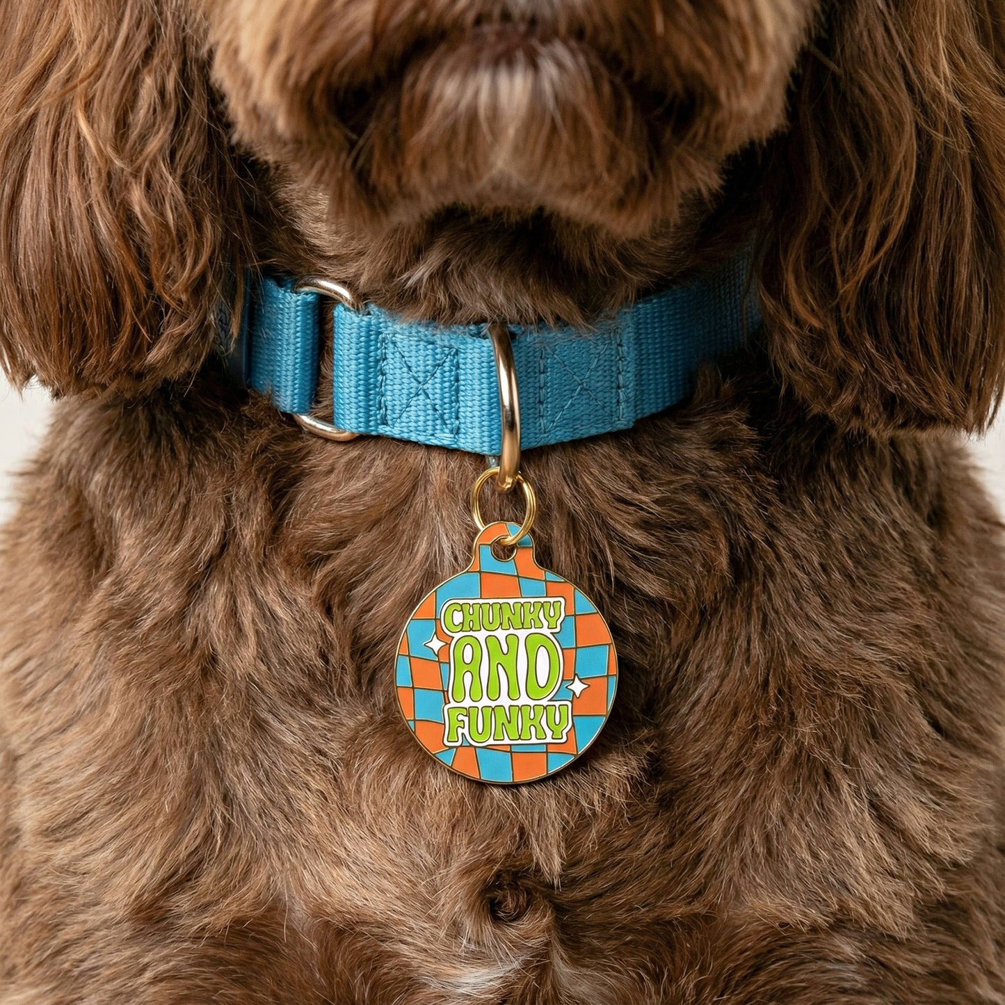 Funny Dog Charm & Pet ID Tag - Chunky & Funky
