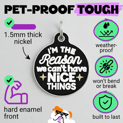 Funny Dog Charm & Pet ID Tag - Can't Have Nice Things