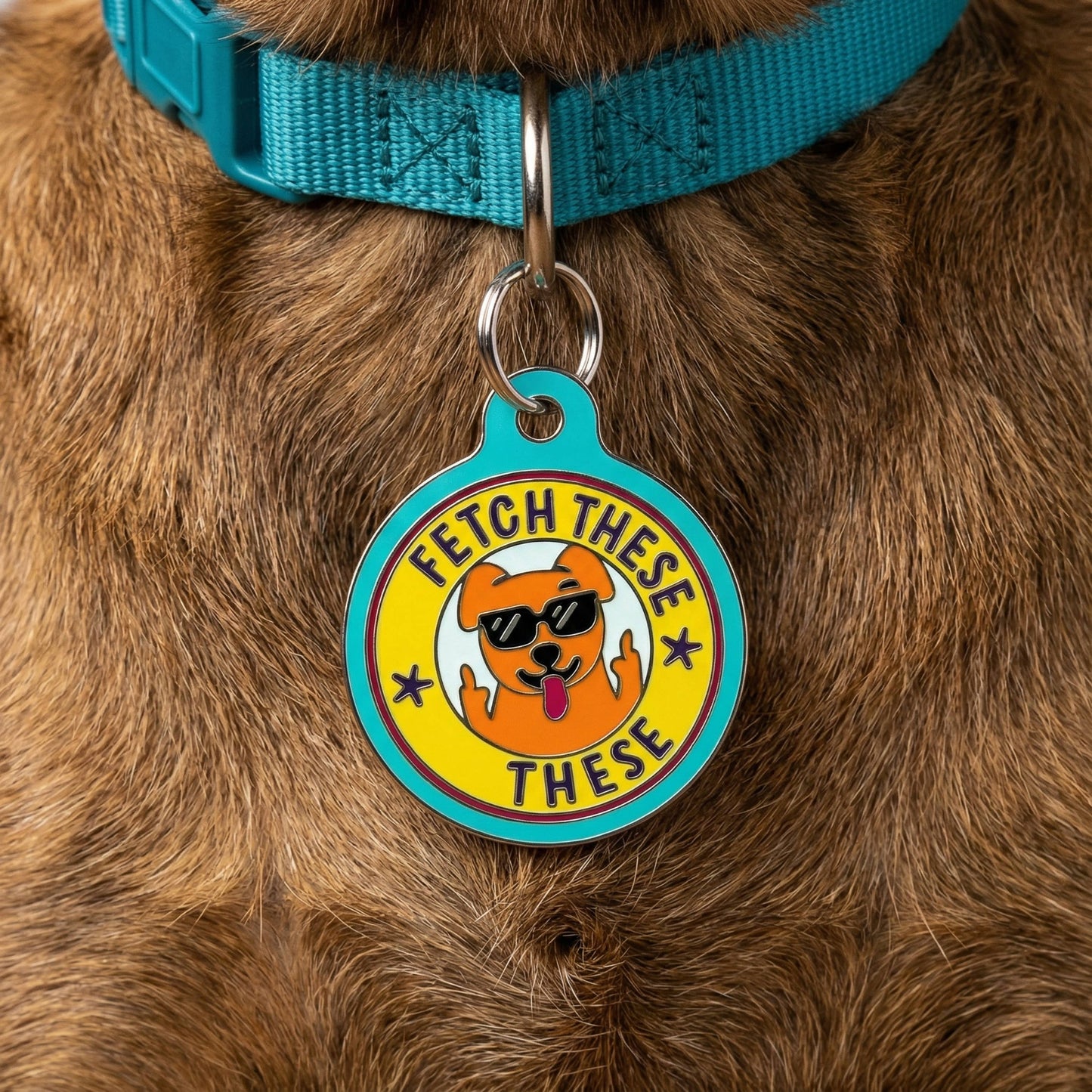 Funny Dog Charm & Pet ID Tag Accessory  - Fetch These