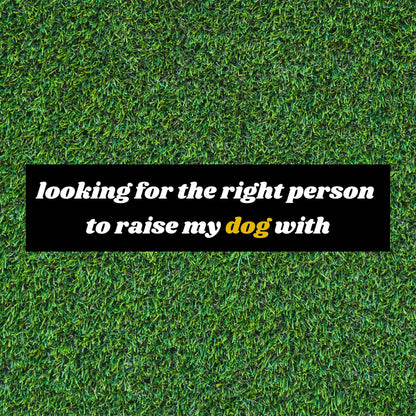 Looking For The Right Person Bumper Sticker