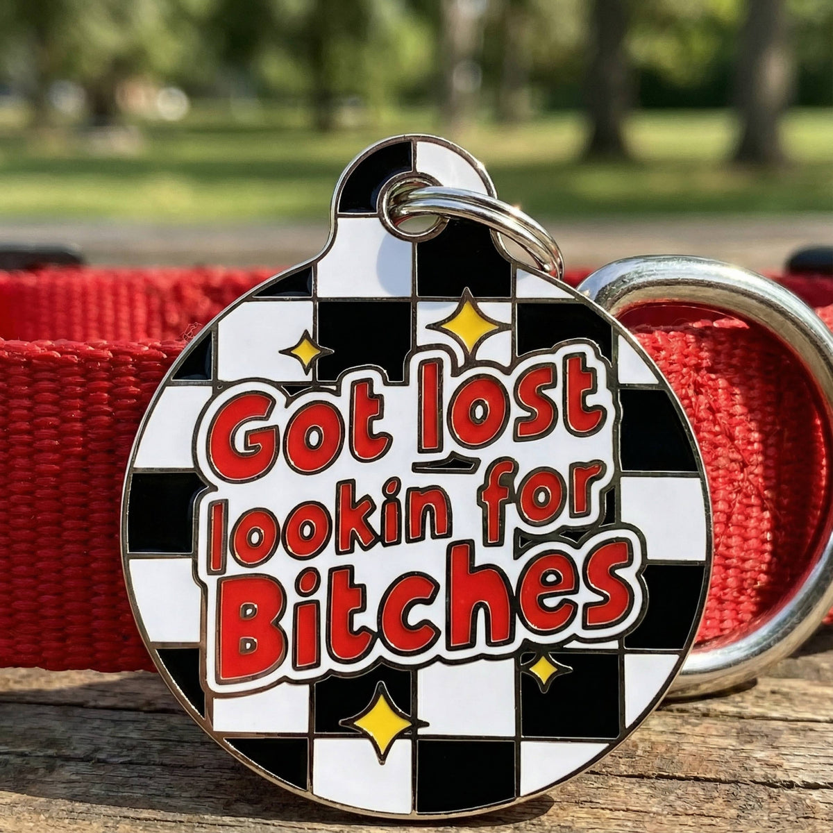 Funny Dog ID Tag & Pet Accessory - Looking for Bitches