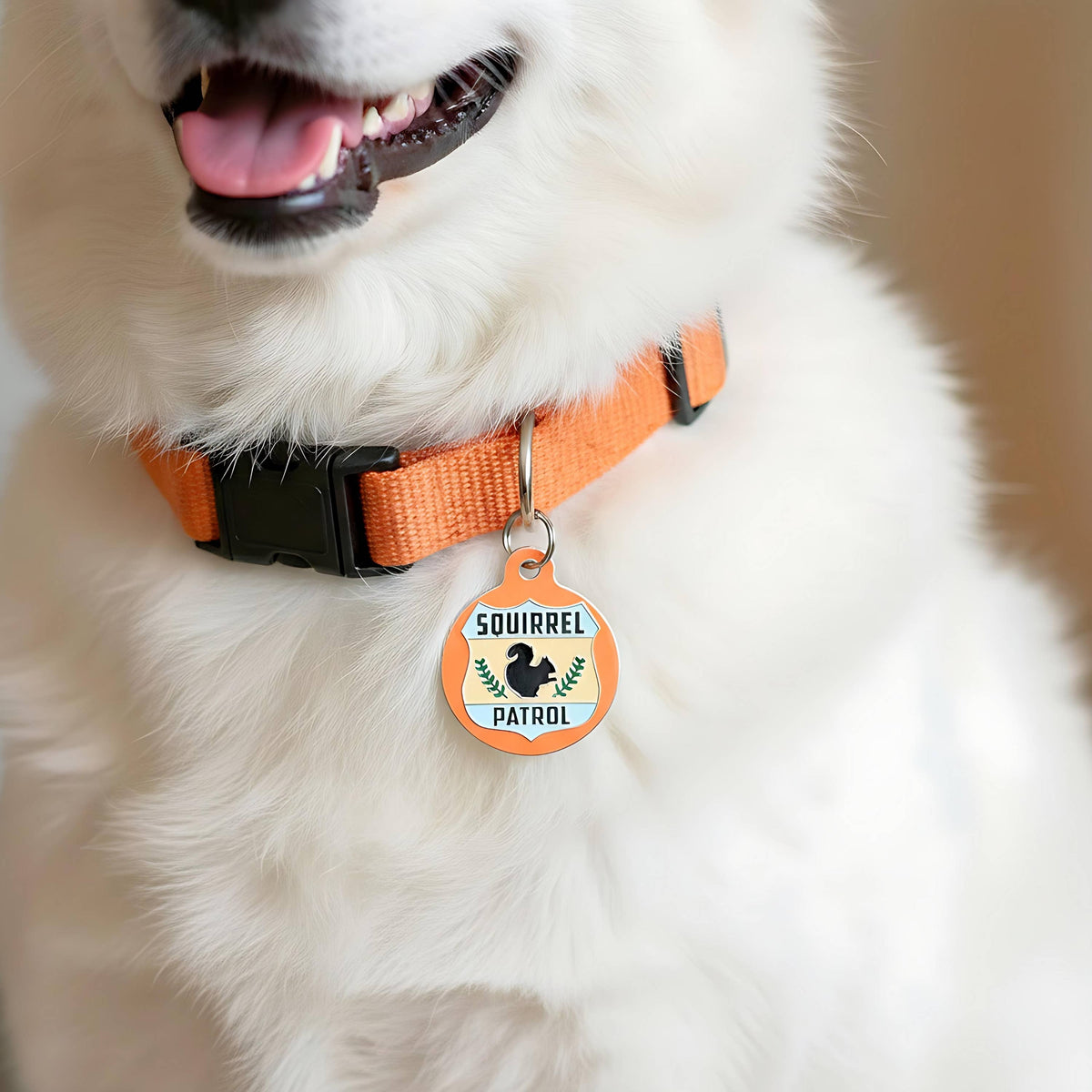 Cute Pet Tag & Dog Collar Charm - Squirrel Patrol *Orange