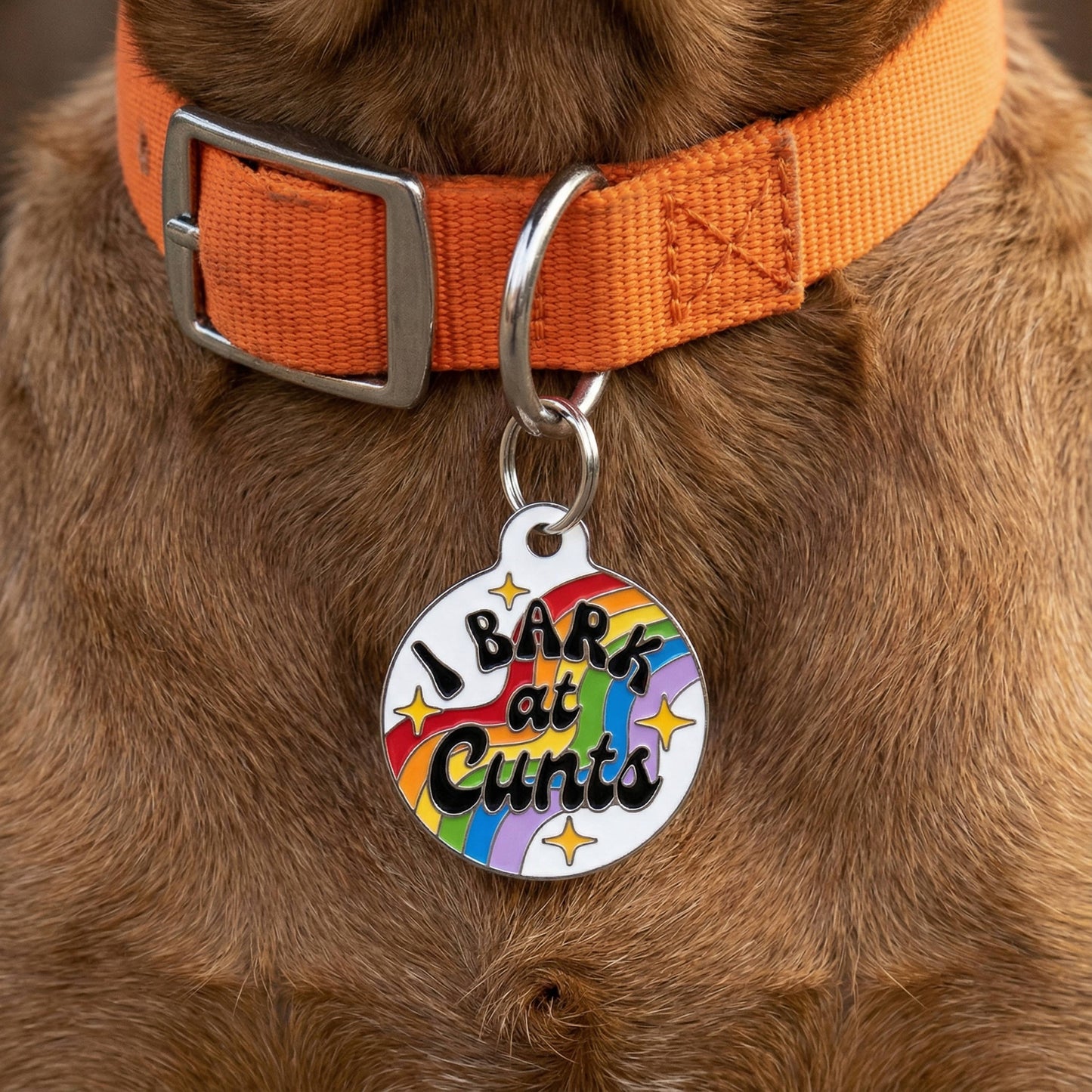 Funny Dog Charm & Pet ID Tag - I Bark at Cunts *Rainbow