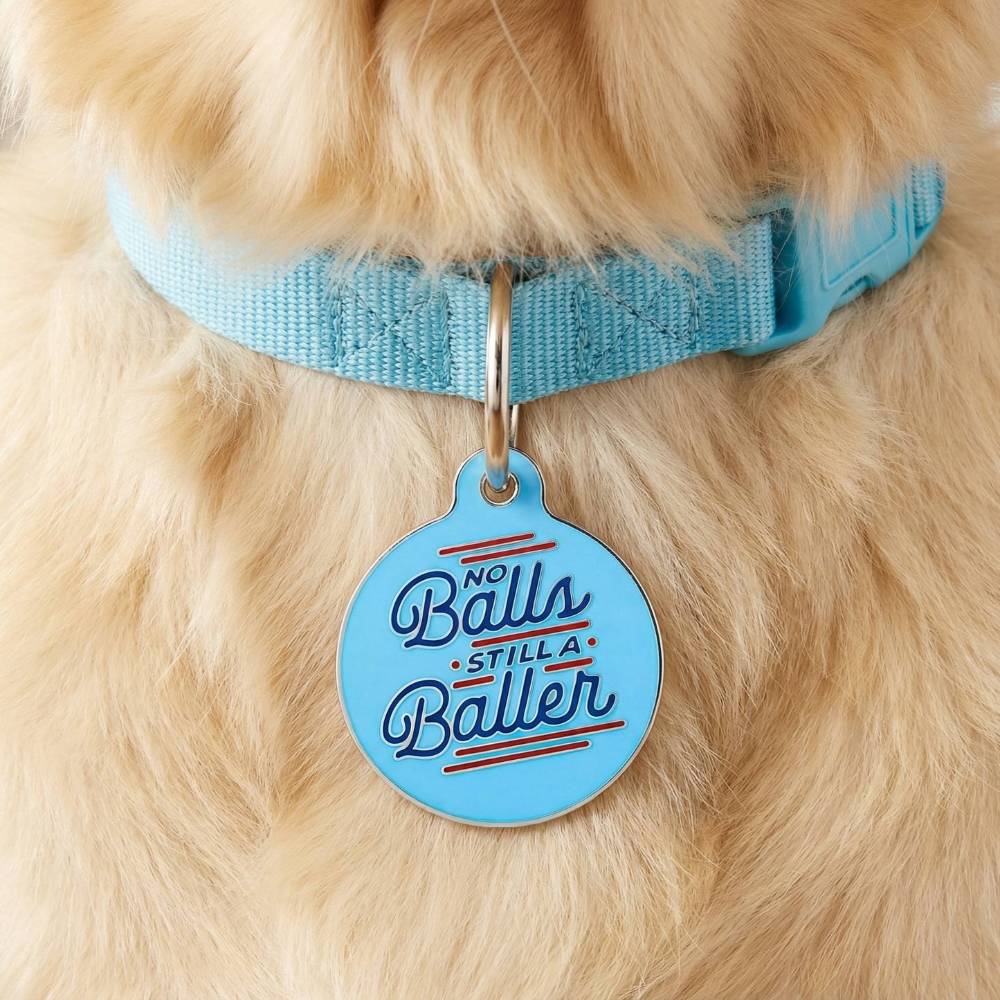 Enamel Pet Charm or Digital ID - No Balls Still a Baller 