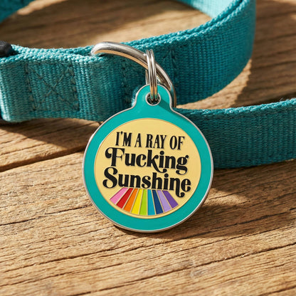 Funny Dog ID Tag & Pet Accessory - Ray of Sunshine *Teal