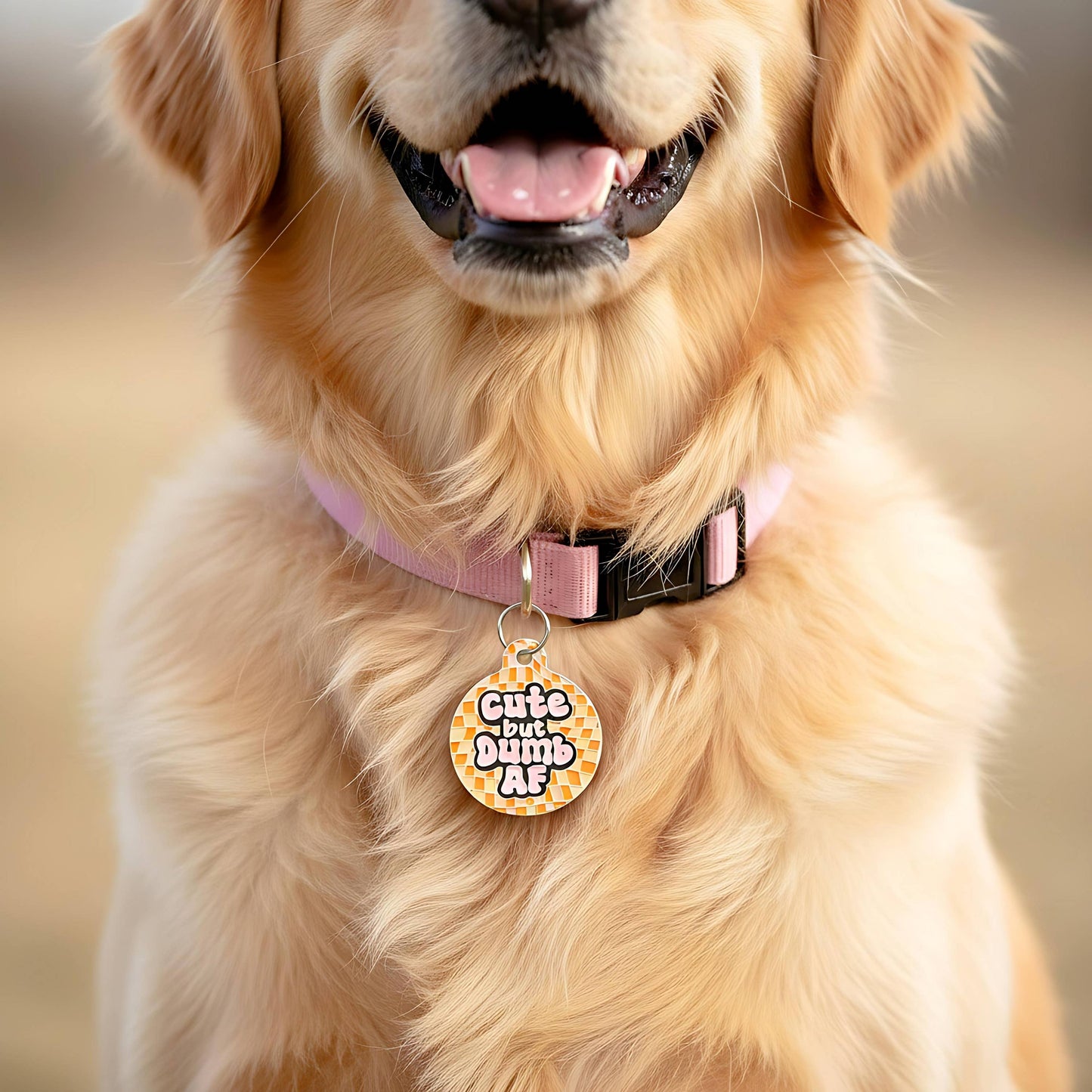 Funny Dog Tag Charm & Pet ID Accessory - Cute but Dumb AF