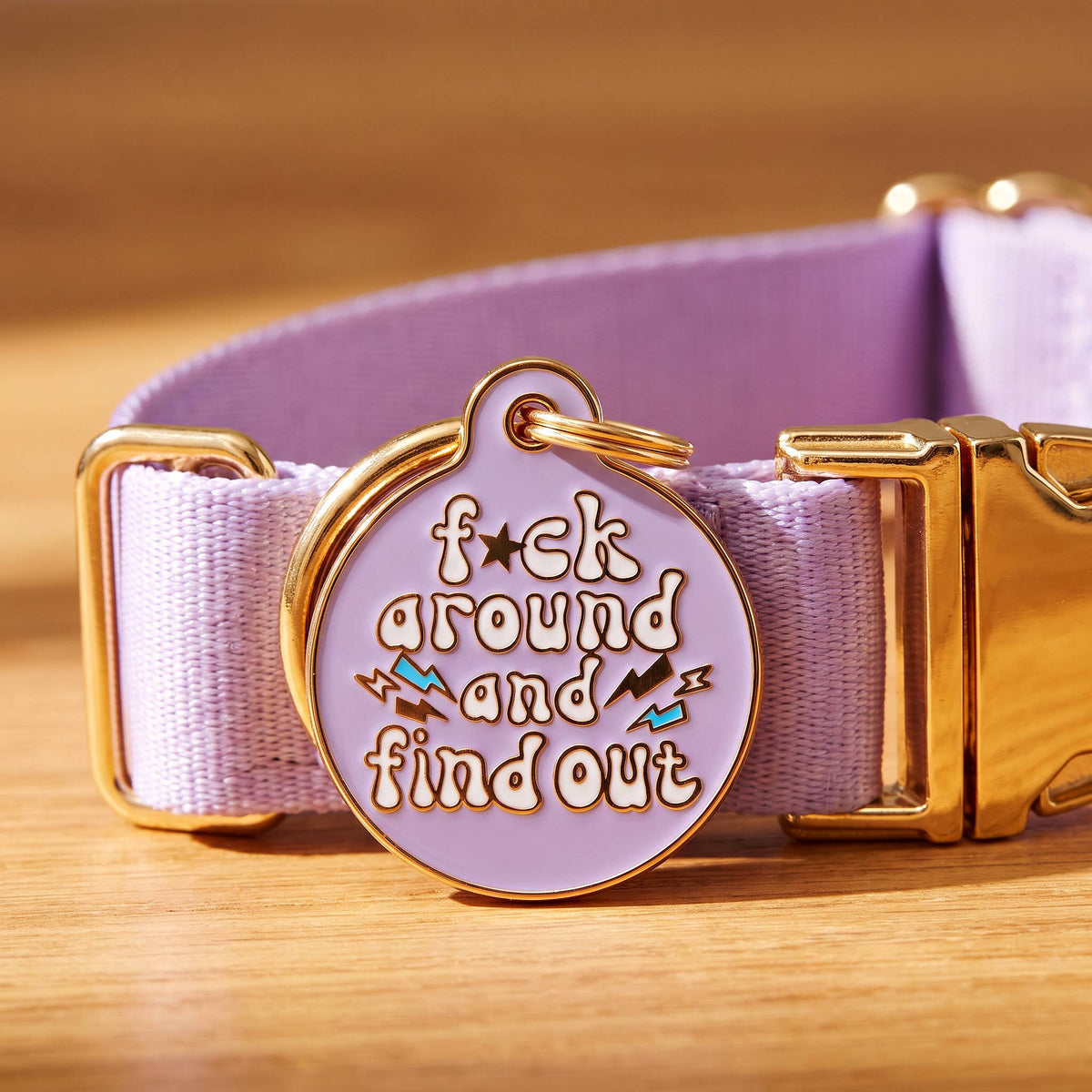 Sassy Dog Tag Charm & Pet ID Tag - FAFO