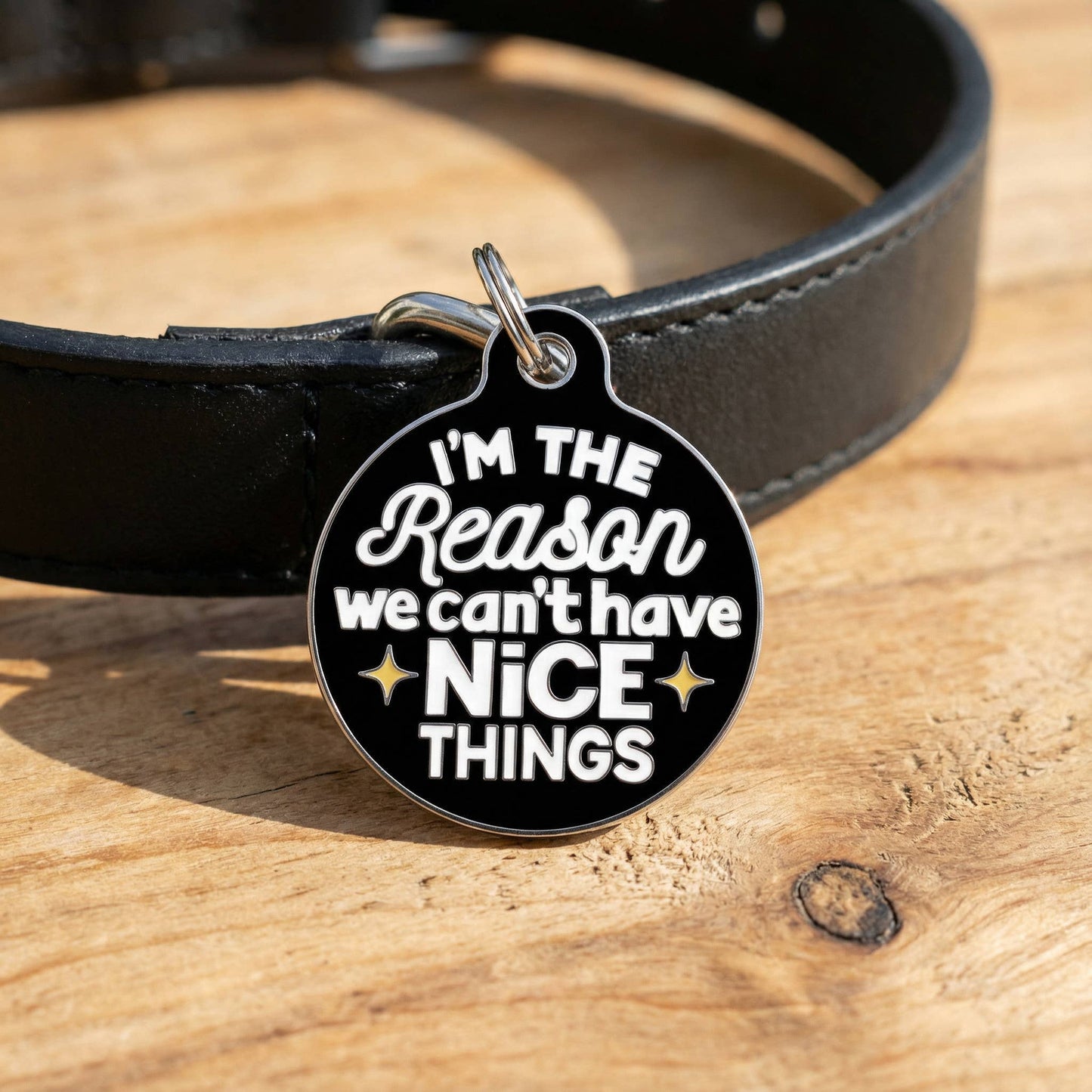 Funny Dog Charm & Pet ID Tag - Can't Have Nice Things