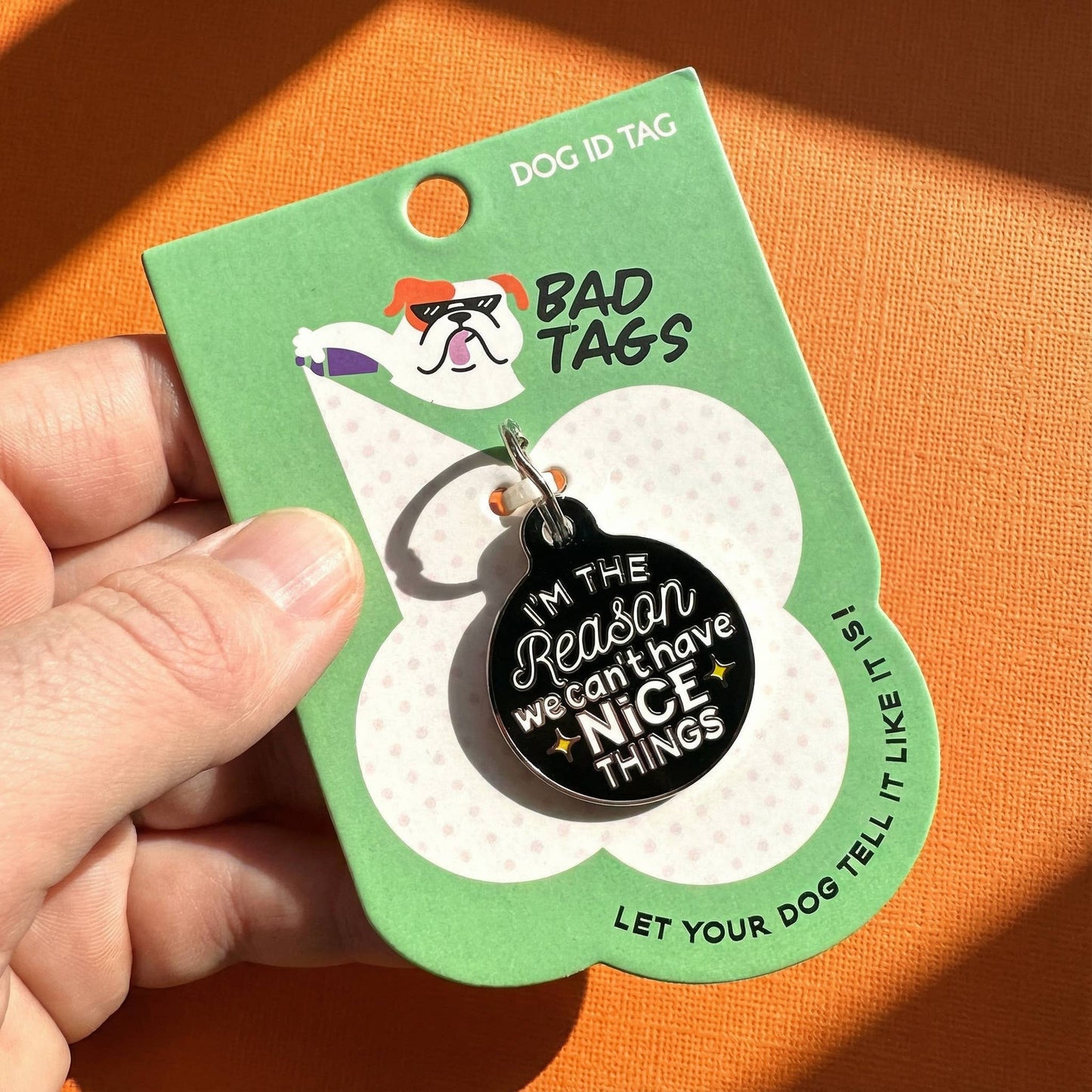 Funny Dog Charm & Pet ID Tag - Can't Have Nice Things