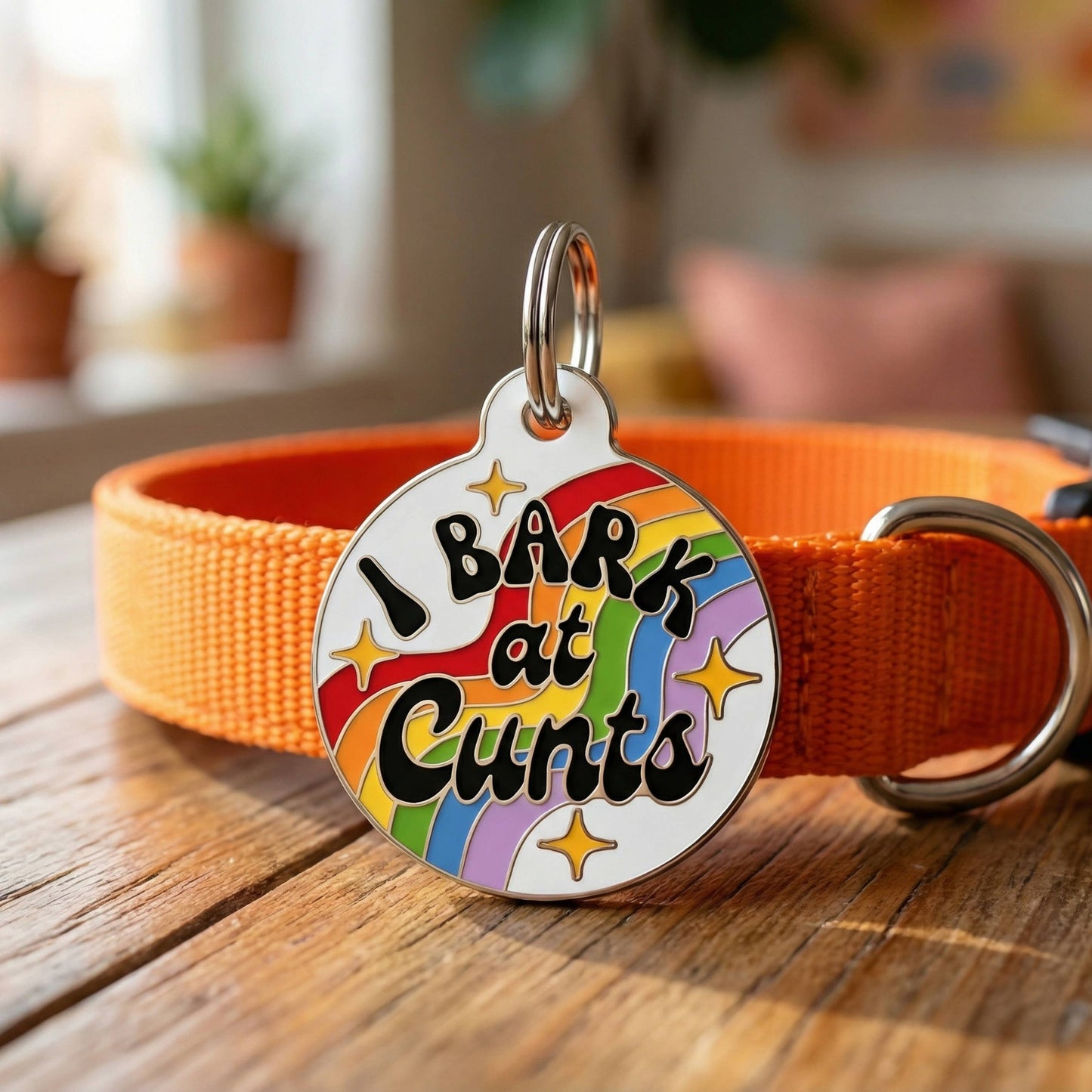 Funny Dog Charm & Pet ID Tag - I Bark at Cunts *Rainbow