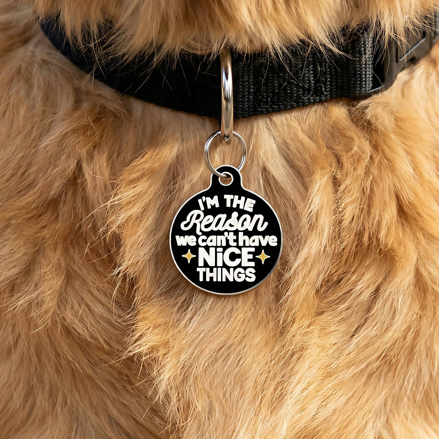 Funny Dog Charm & Pet ID Tag - Can't Have Nice Things