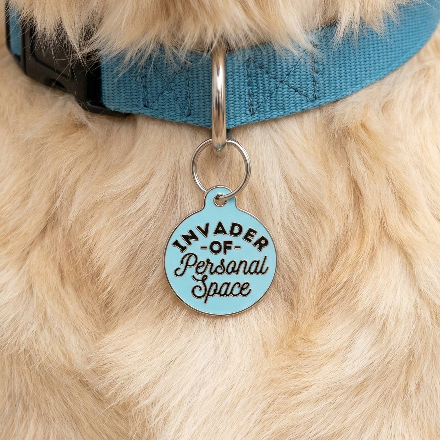 Funny Dog Charm & Pet ID Tag - Invader Personal Space *Blue